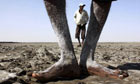 Kharaghodha, India: Labourers during the salt-making process on a salt pan