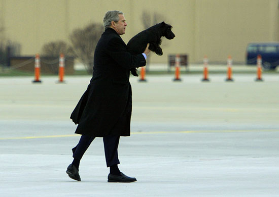 Gallery Great Scots: President Bush carries his dog Barney