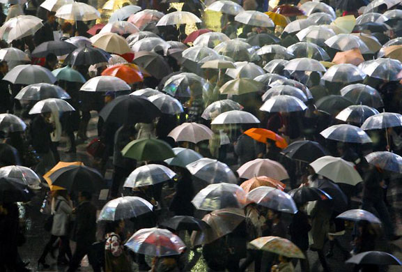 Gallery November 24 2008: Tokyo, Japan: Pedestrians with their umbrellas cross the street