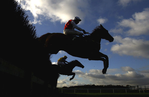 Gallery 24 hours in sport: Lingfield Races