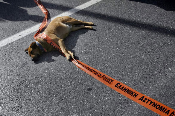 Gallery November 26 2008: Athens, Greece: A dockers' demonstration