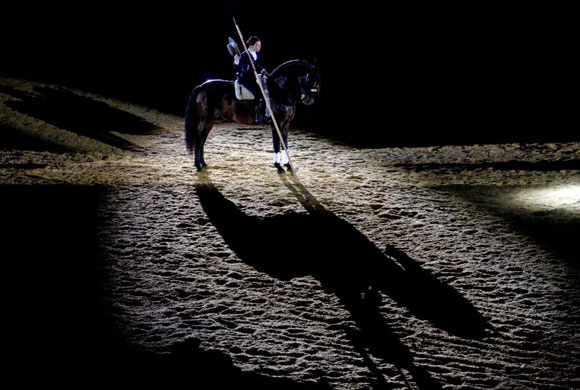 Gallery November 26 2008: International Fair of Spanish Thoroughbred Horses 'SICAB 2008' in Seville