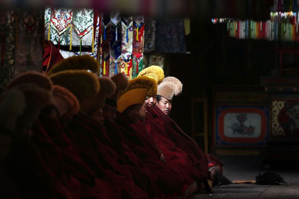 Gallery November 26 2008: Luqu, China: Monks take part in mid-day teachings