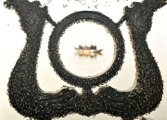 Gallery November 26 2008: Wuhan, China: Midges swarm at the Water Sports Administration Centre