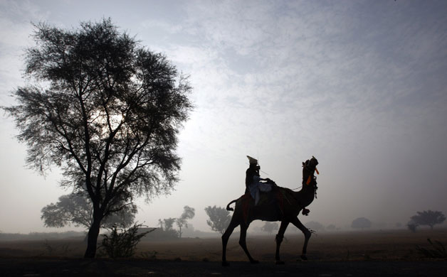 Gallery 24 hours in pictures: A man rides on a camel on a foggy morning outside Islamabad