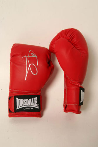 Gallery Katine Auction: Joe Calzaghe's boxing gloves