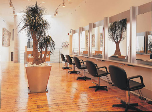 Gallery Katine Auction: Daniel Hersheson salon 