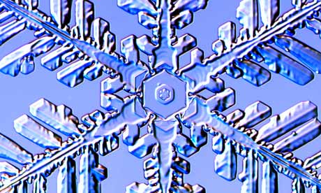 dendrite,follicle a fernlike stellar dendrite snowflake