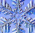 A Fernlike Stellar Dendrite snowflake