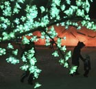 The Harbin Ice and Snow Festival