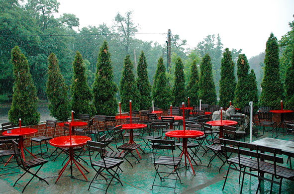 In Pictures: Green: Jim Carfrae