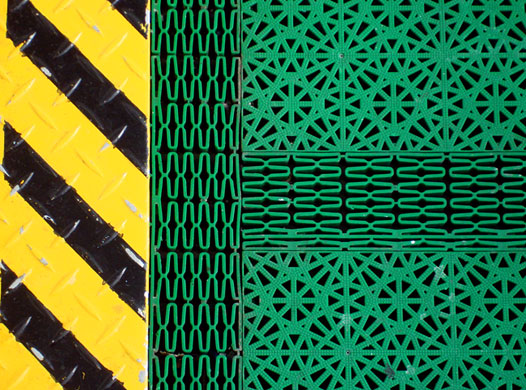 In Pictures: Green: Gail Davies