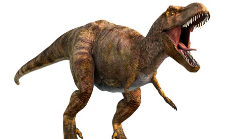 Being warmblooded would mean dinosaurs like Tyrannosaurus rex could live
