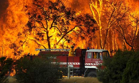 A fire truck in front a bushfire at the Bunyip Sate Forest
