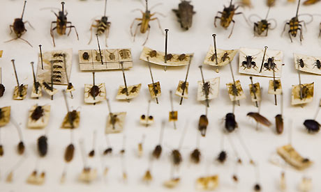 Darwin exhibition at Down House