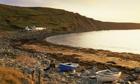 shetlands