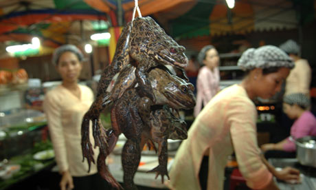 Frogs in a restaurant in Saigon, Vietnam