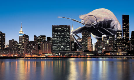Sleepless in Manhattan bedbugs are on the march across New York City