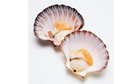 Scallops are off the menu