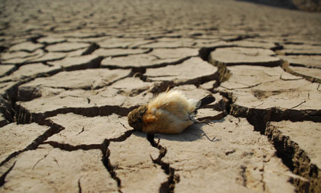 Severe drought grips Southern China