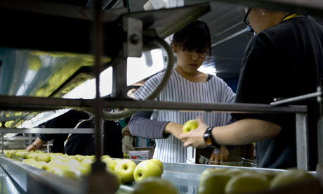 Workers from south-east Asia are replacing volunteers on many kibbutzim