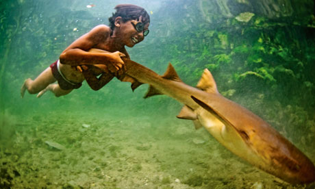 boy with shark