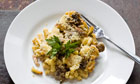 Student cooking: the recipes