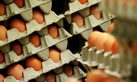 Eggs Products