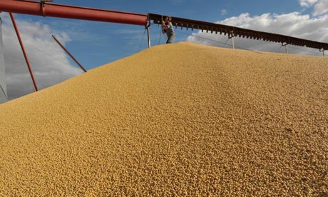 A worker repairs a grain lifter atop a soy bean mountain in a silo storage in Salto, Argentina