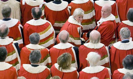 Peers: not as cute as penguins