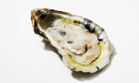 An oyster: should you eat it or not?