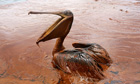 BP spill cost