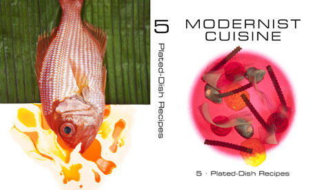 Modernist Cuisine Book. Modernist Cuisine: the