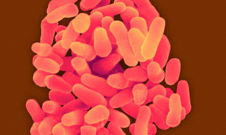 drug resistant tuberculosis