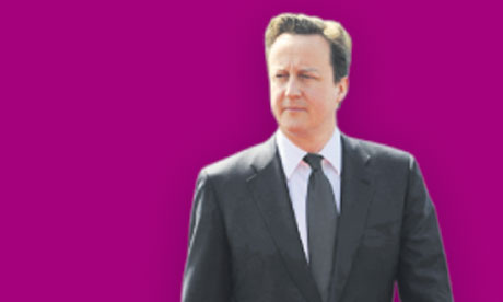 David Cameron and the purple coalition
