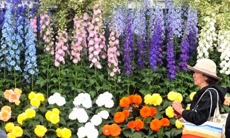 The Chelsea flower show: planting a dream | Life and style | The.