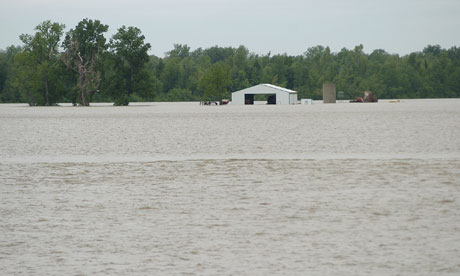 A flooded farm along the Mississippi River is seen in Cairo, Illinois