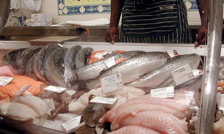 fish in supermarket