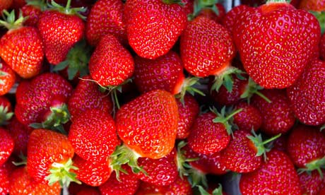 Clergyman Francis Kilvert wrote in his diary about gathering strawberries on Midsummer Day in 1875.