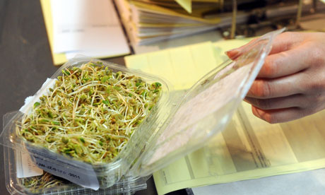 German bean sprouts cleared of E coli in Germany