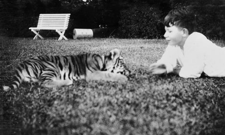 Johnny Wilder  Chinese Tiger Sold as Pet After Mother Killed Johnny Wilder 007