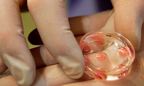 in vitro ivf assisted motherhood