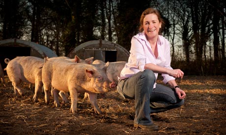 pig sex with girl
