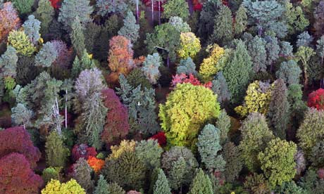 The National Arboretum at Westonbirt in Gloucestershire, England