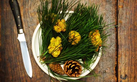 Buttermilk chicken in pine salt