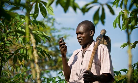 A farmer uses his mobile phone to check information on crop diseases