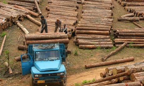 Loggers in Burma