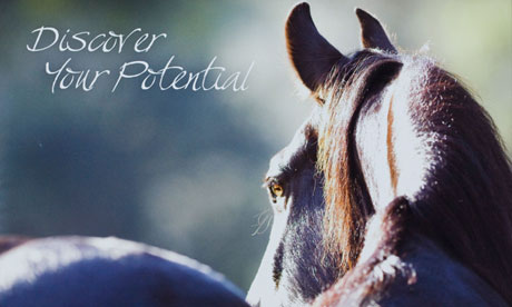 'Discover your potential' poster featuring horse
