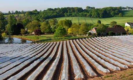 A farm in Herefordshire