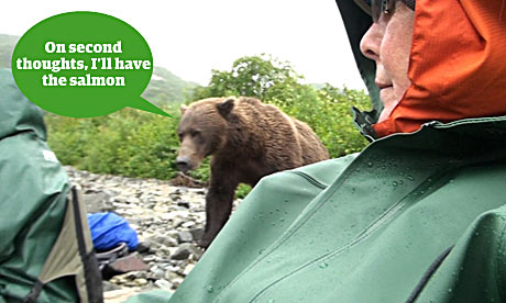 What do you reckon the bear might be thinking?